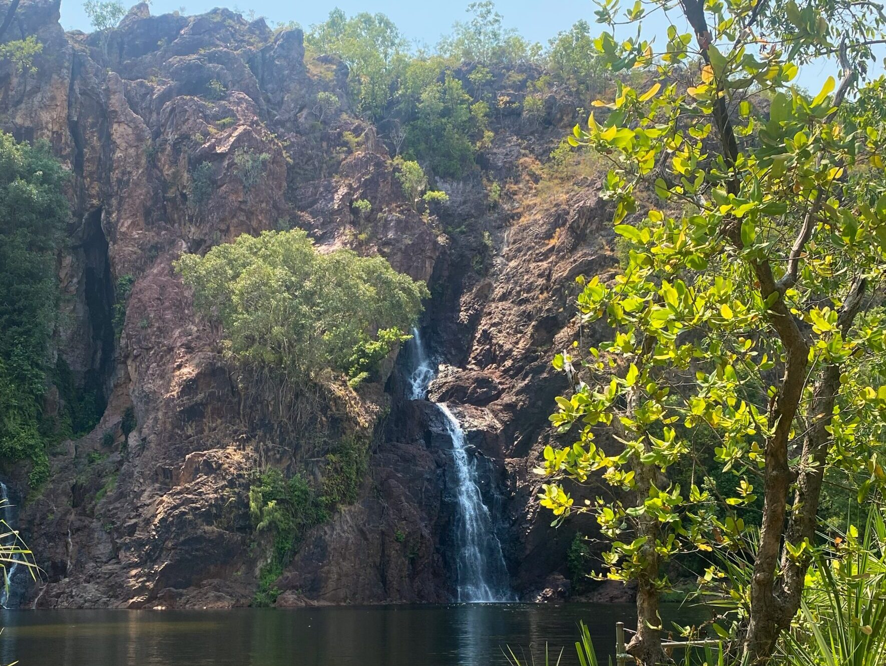 Darwin – Exploring Skies and Waters